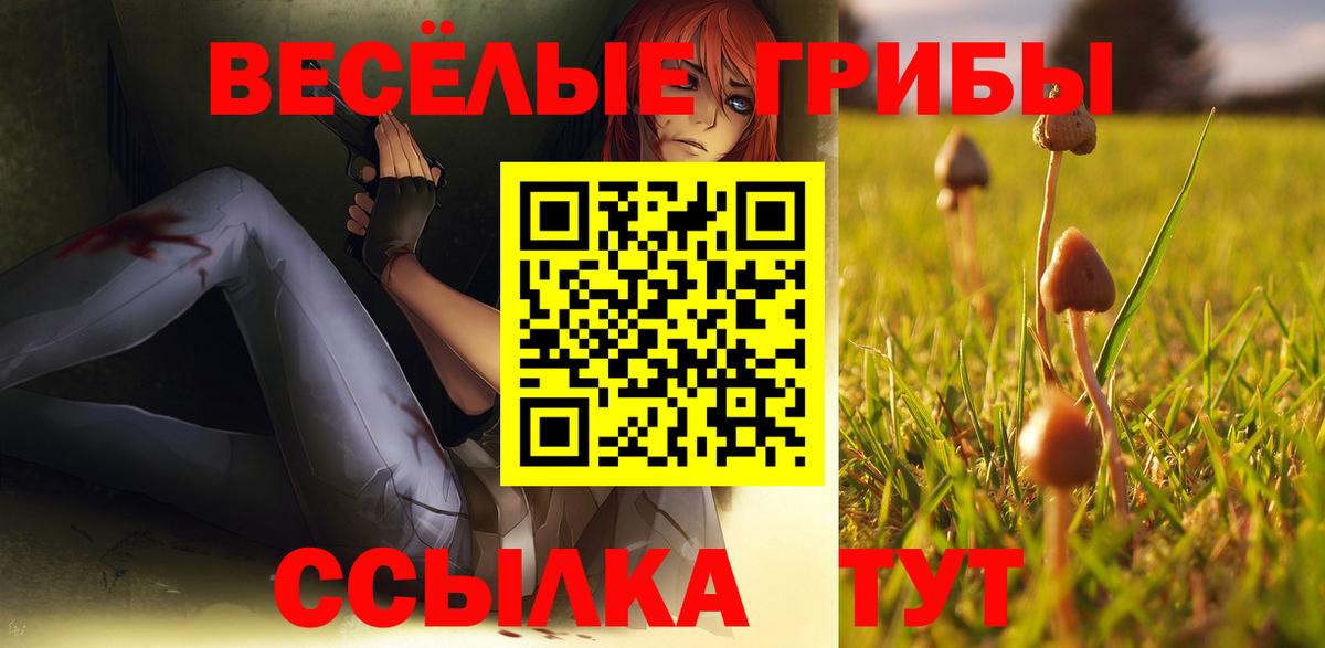 Галлюциногенные грибы Cubensis  Вход с VPN  Псилоцибиновые грибы Cubensis  Крымск 