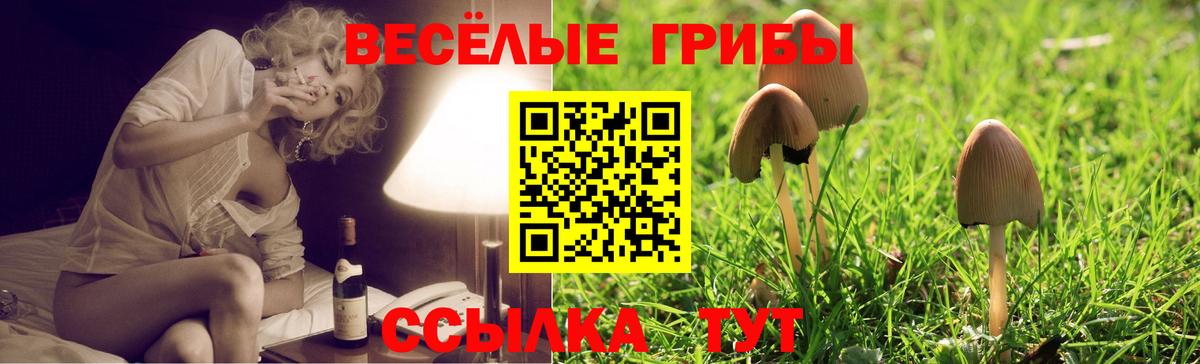 Псилоцибиновые грибы GOLDEN TEACHER Крымск